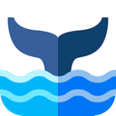 Pale cetacean Mobile VPN, 白色的鲸鱼手机VPN