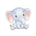 Daxiang Mobile VPN, 庞然大物手机VPN