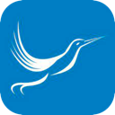 Fengniao Mobile VPN, 蜂鸟手机VPN